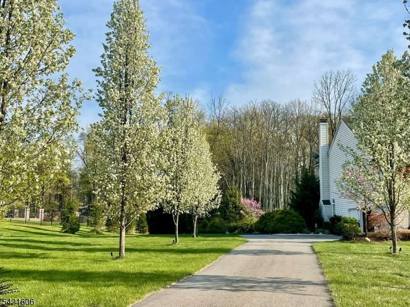 2 Stone Forge Road Andover, NJ 07821 - Photo 37 of 50