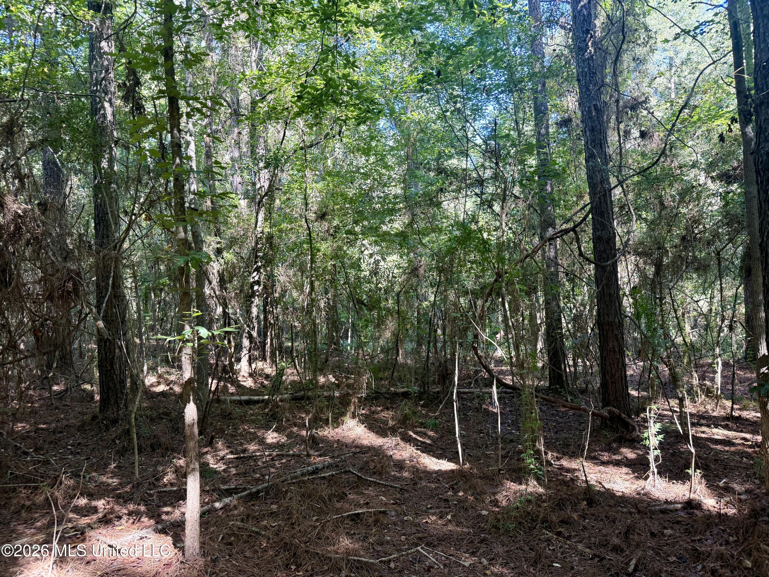 Burt Jordan Road Smithdale, MS 39664 - Photo 19 of 21 IMG_9373