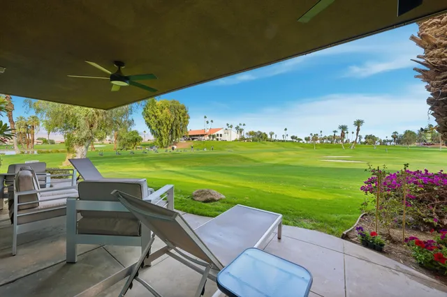 a view of a patio with table and chairs potted plants and a palm tree