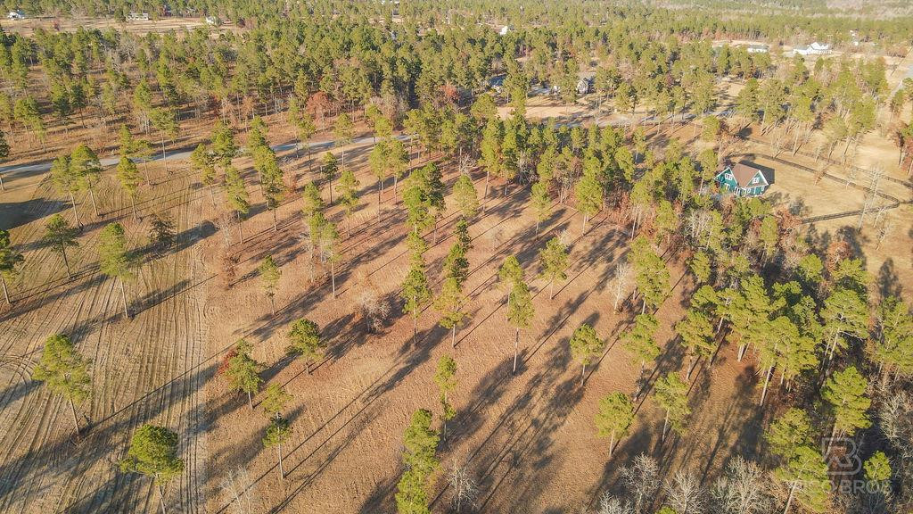 Lot 28 Rembert Place Aiken, SC 29803 - Photo 7 of 18