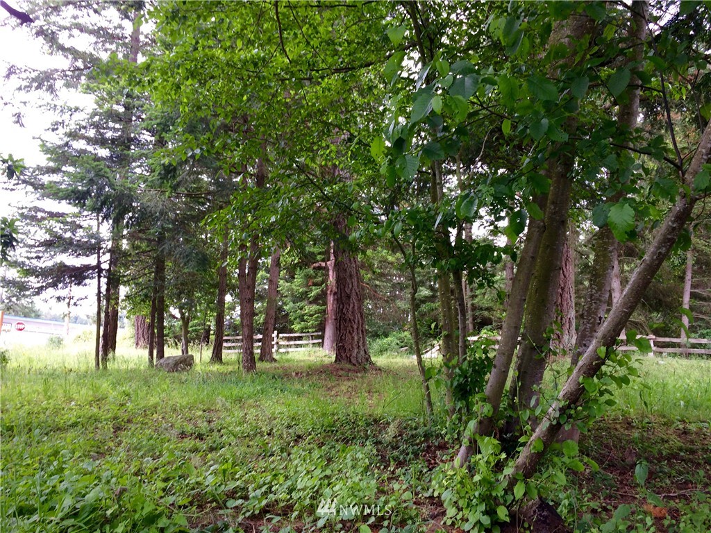 0 Blanchard Road Orcas Island, WA 98245 - Photo 1 of 17 Gallery Image 1