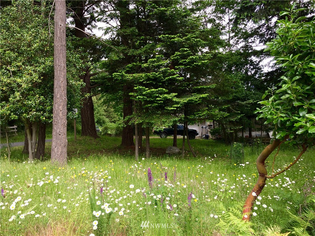 0 Blanchard Road Orcas Island, WA 98245 - Photo 2 of 17 Gallery Image 2