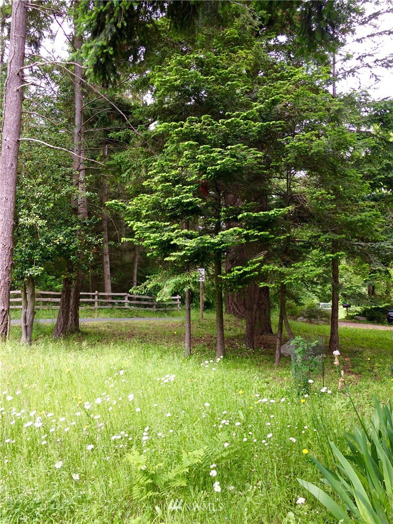 0 Blanchard Road Orcas Island, WA 98245 - Photo 11 of 17 Gallery Image 11