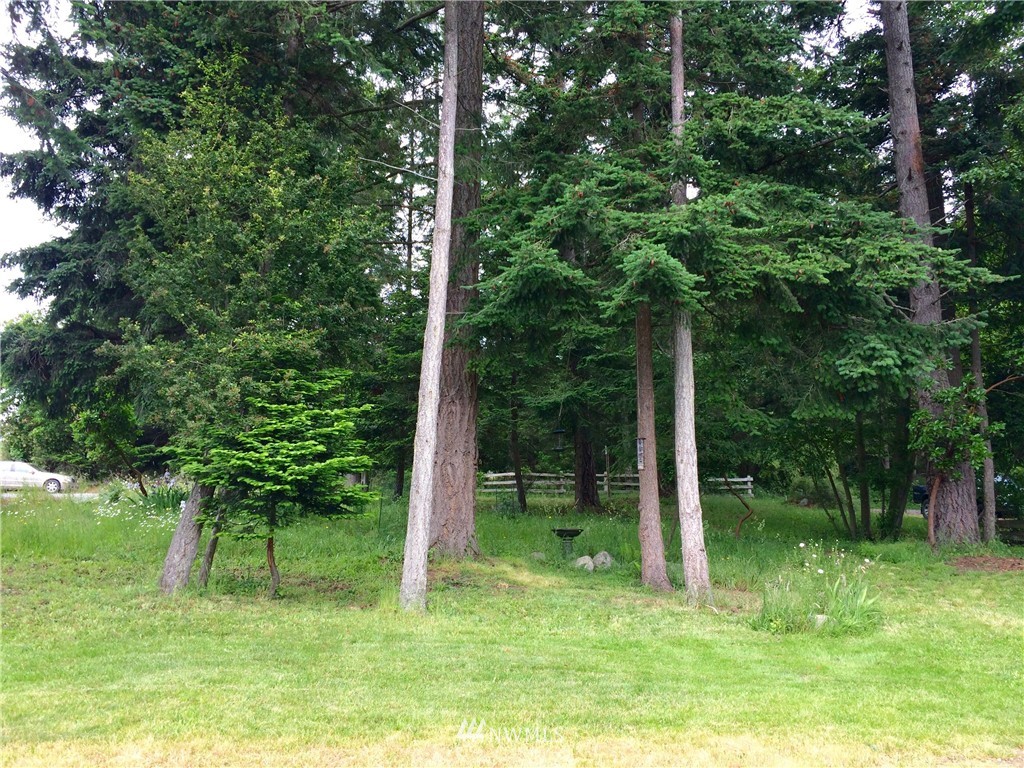0 Blanchard Road Orcas Island, WA 98245 - Photo 14 of 17 Gallery Image 14