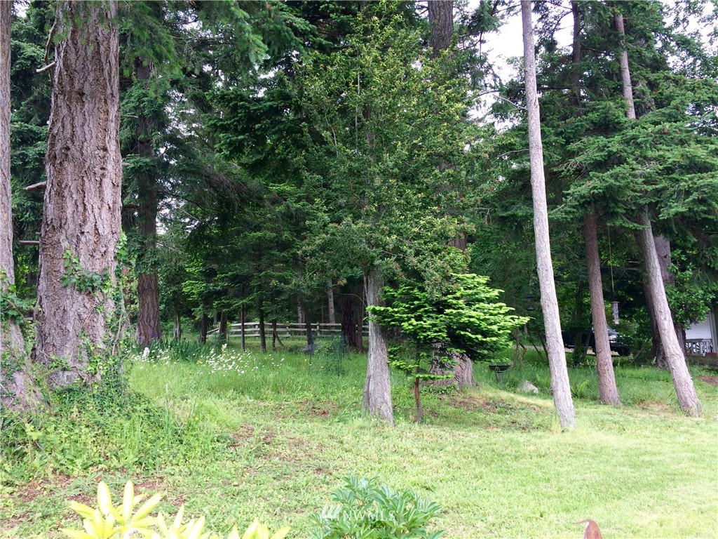 0 Blanchard Road Orcas Island, WA 98245 - Photo 15 of 17 Gallery Image 15