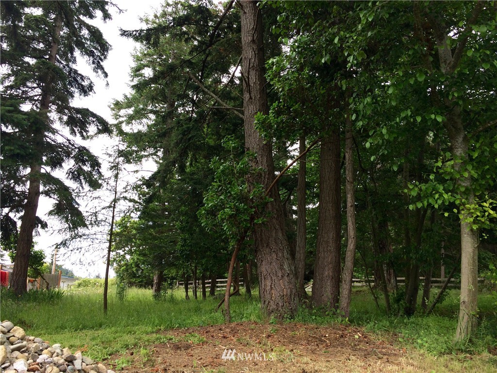 0 Blanchard Road Orcas Island, WA 98245 - Photo 3 of 17 Gallery Image 3