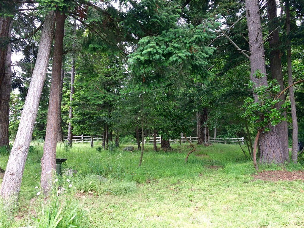 0 Blanchard Road Orcas Island, WA 98245 - Photo 4 of 17 Gallery Image 4