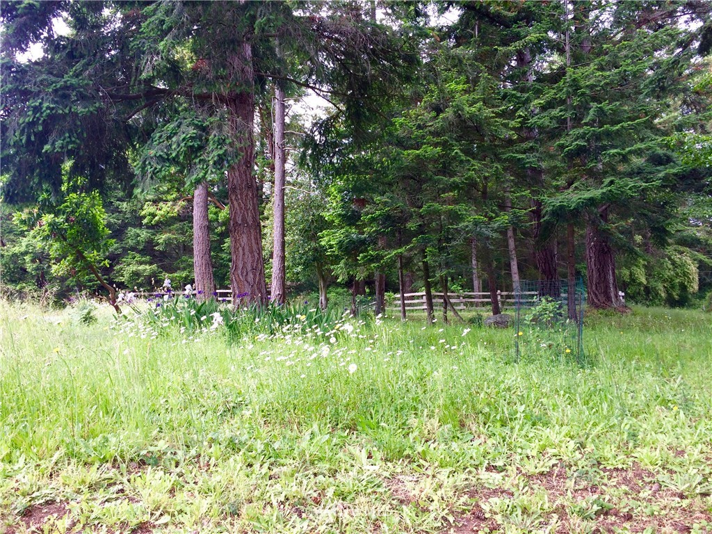 0 Blanchard Road Orcas Island, WA 98245 - Photo 5 of 17 Gallery Image 5