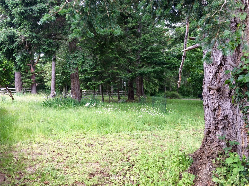 0 Blanchard Road Orcas Island, WA 98245 - Photo 6 of 17 Gallery Image 6