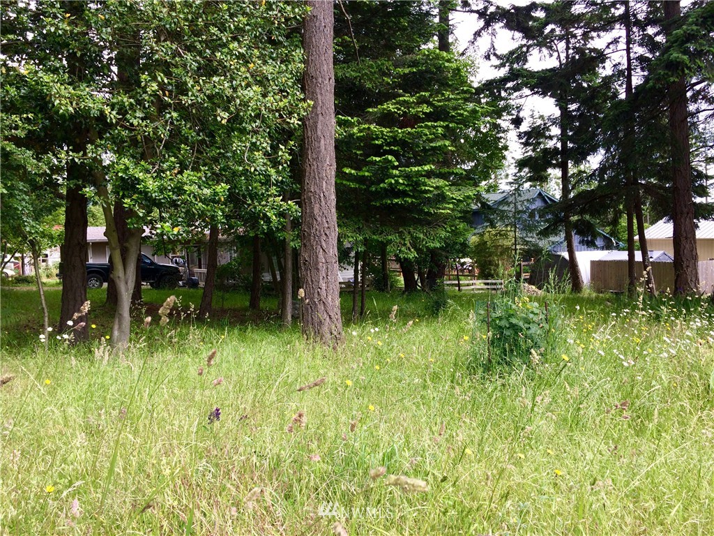 0 Blanchard Road Orcas Island, WA 98245 - Photo 9 of 17 Gallery Image 9