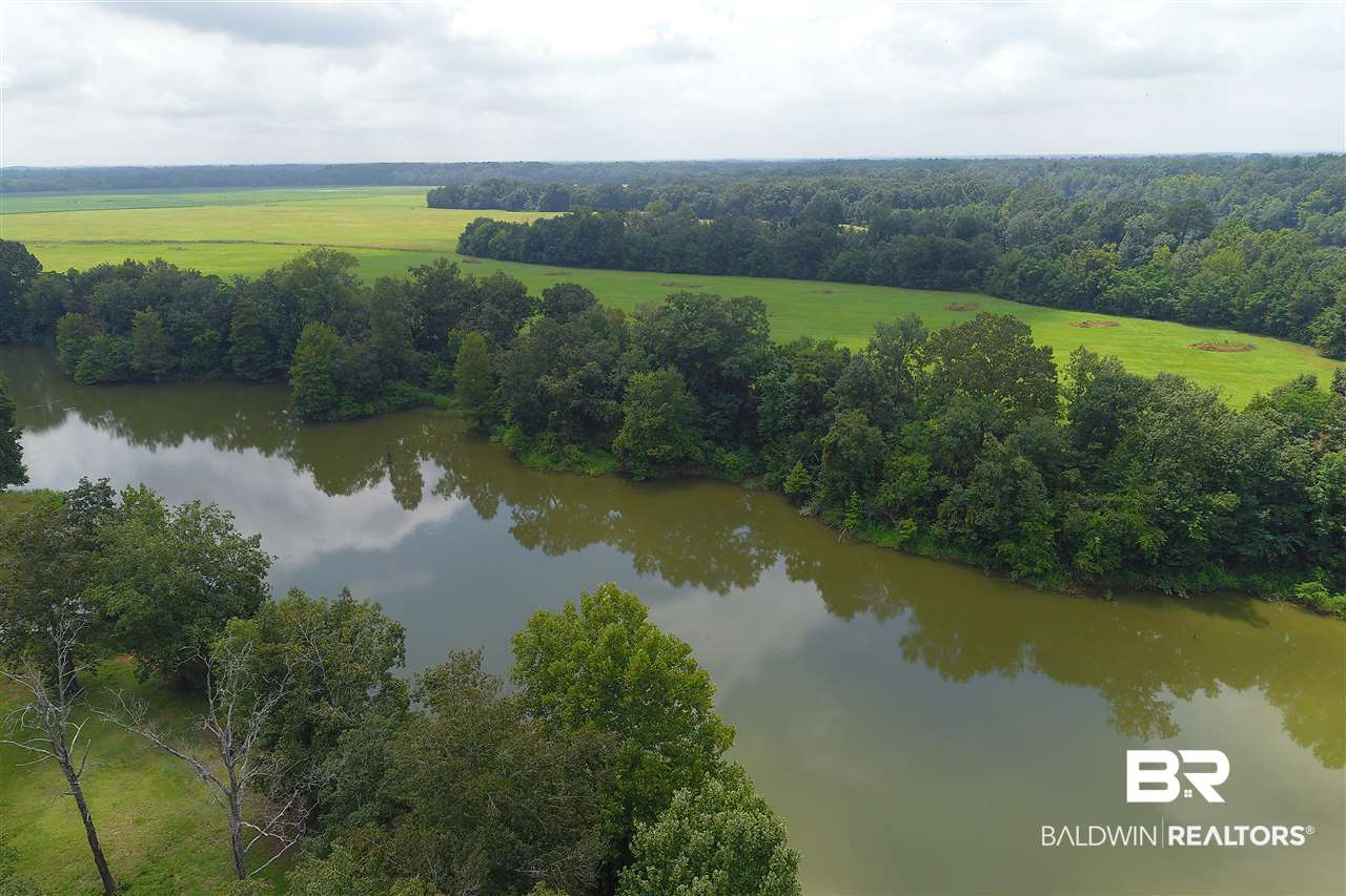 0 Jimmy Phillips Road Greensboro, AL 36744 - Photo 3 of 16