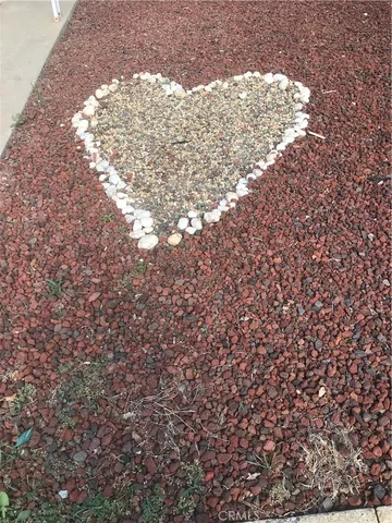 a close up of a tree