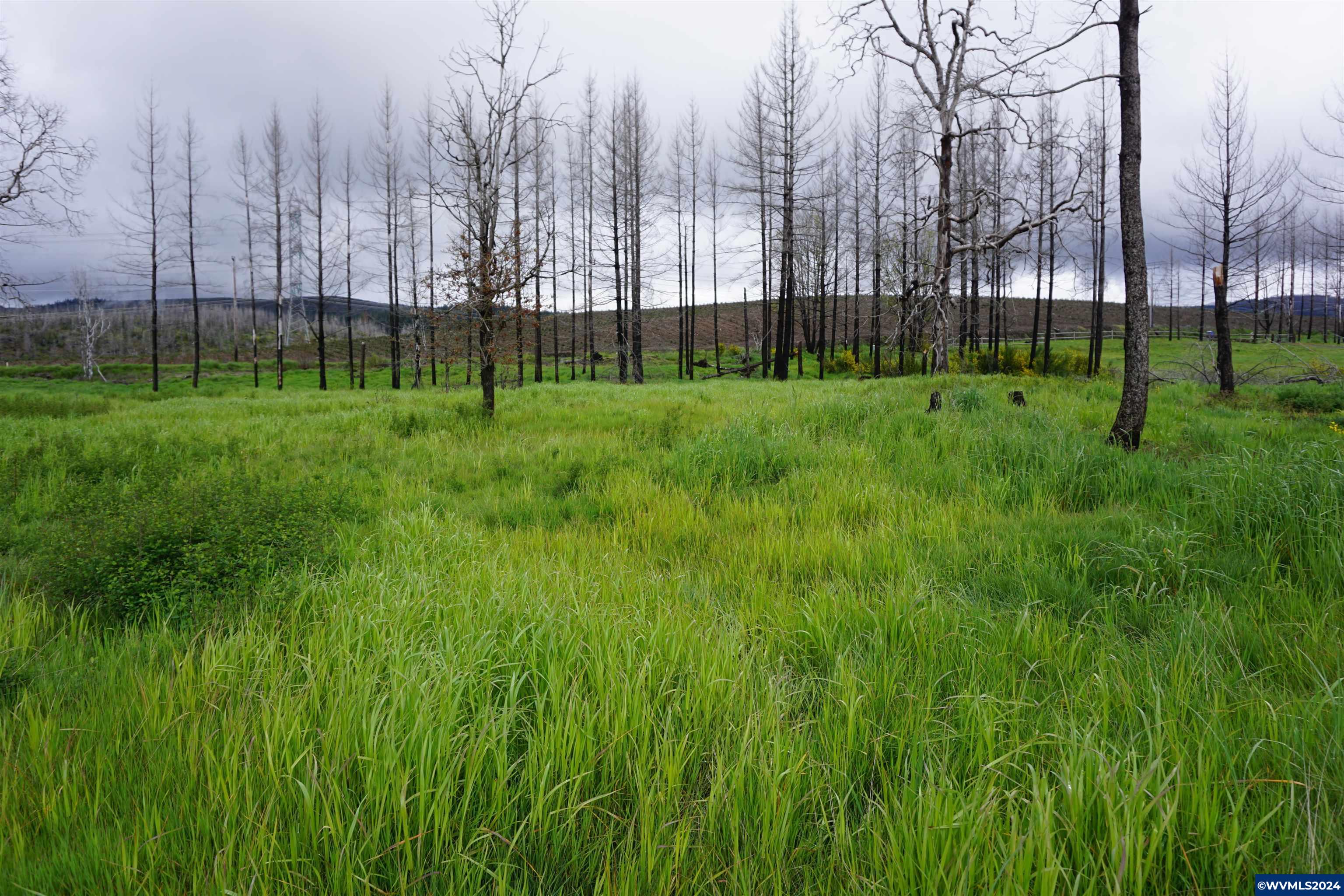900 Wagner Road Lyons, OR 97358 - Photo 2 of 30