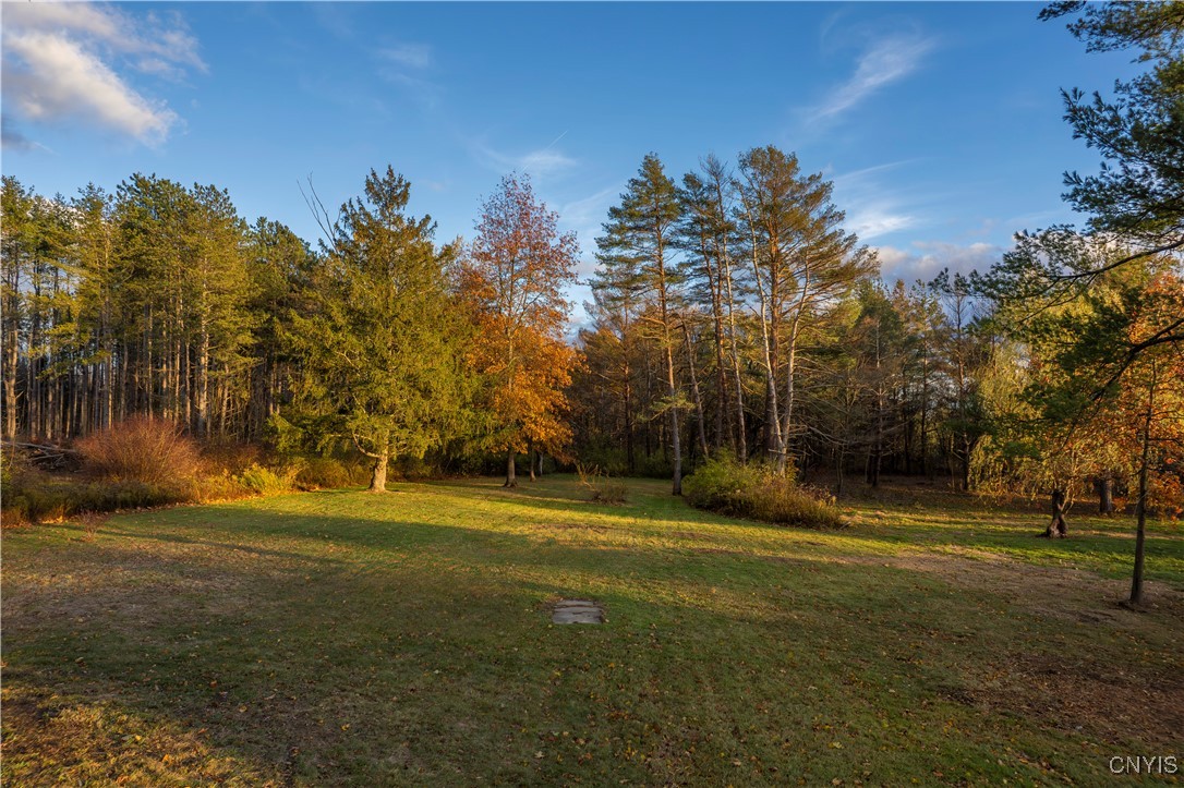 6536 Fox Road Marcy, NY 13403 - Photo 40 of 46