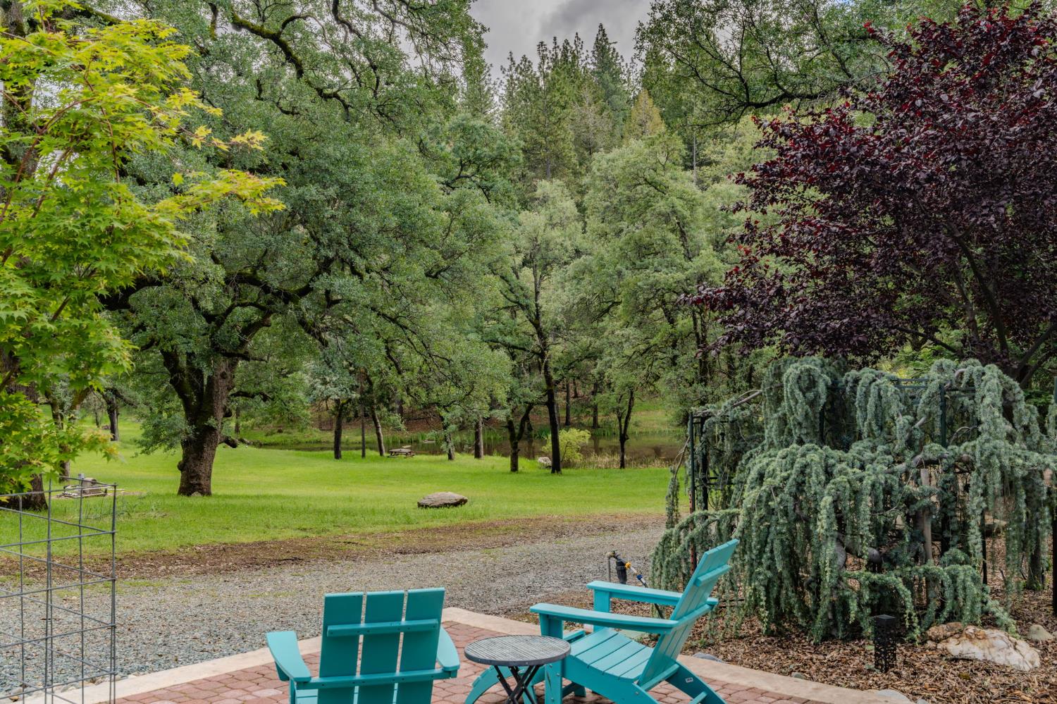 19351 Fiddletown Road Fiddletown, CA 95629 - Photo 4 of 51 Picture perfect views of the pond