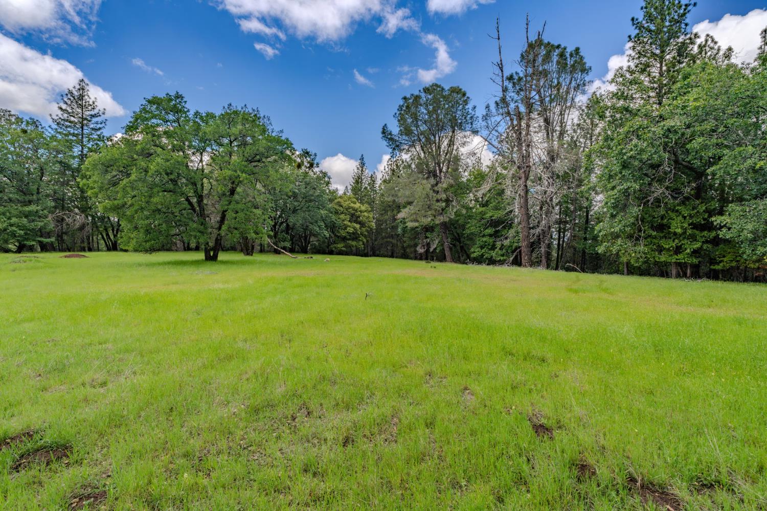 19351 Fiddletown Road Fiddletown, CA 95629 - Photo 44 of 51 All usable land!