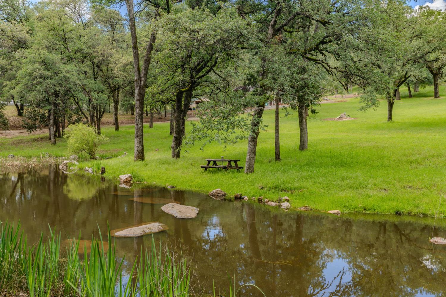 19351 Fiddletown Road Fiddletown, CA 95629 - Photo 45 of 51 Views from the first pond looking toward the house