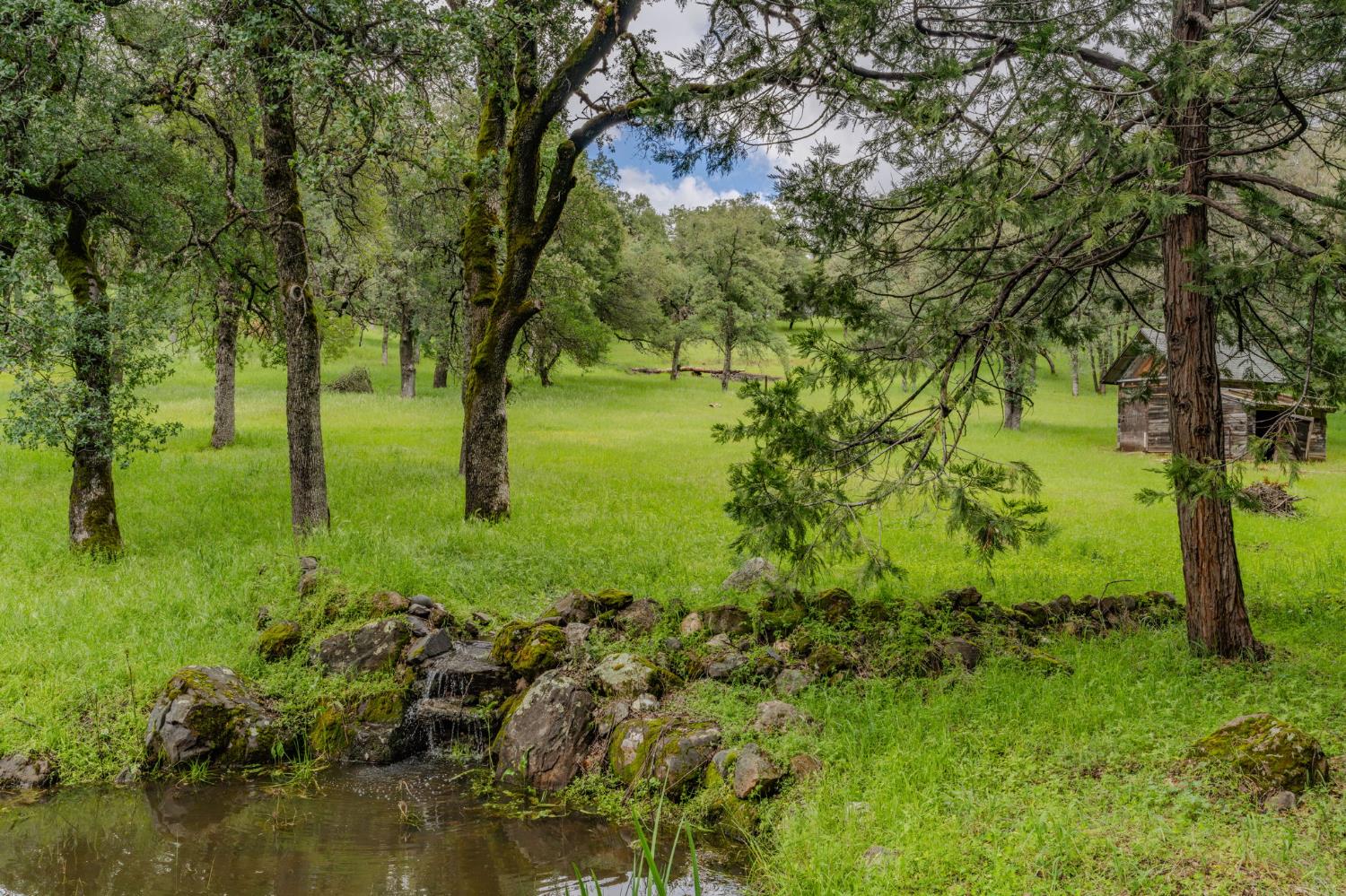 19351 Fiddletown Road Fiddletown, CA 95629 - Photo 46 of 51