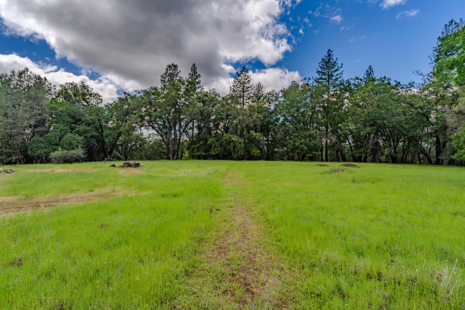 19351 Fiddletown Road Fiddletown, CA 95629 - Photo 47 of 51