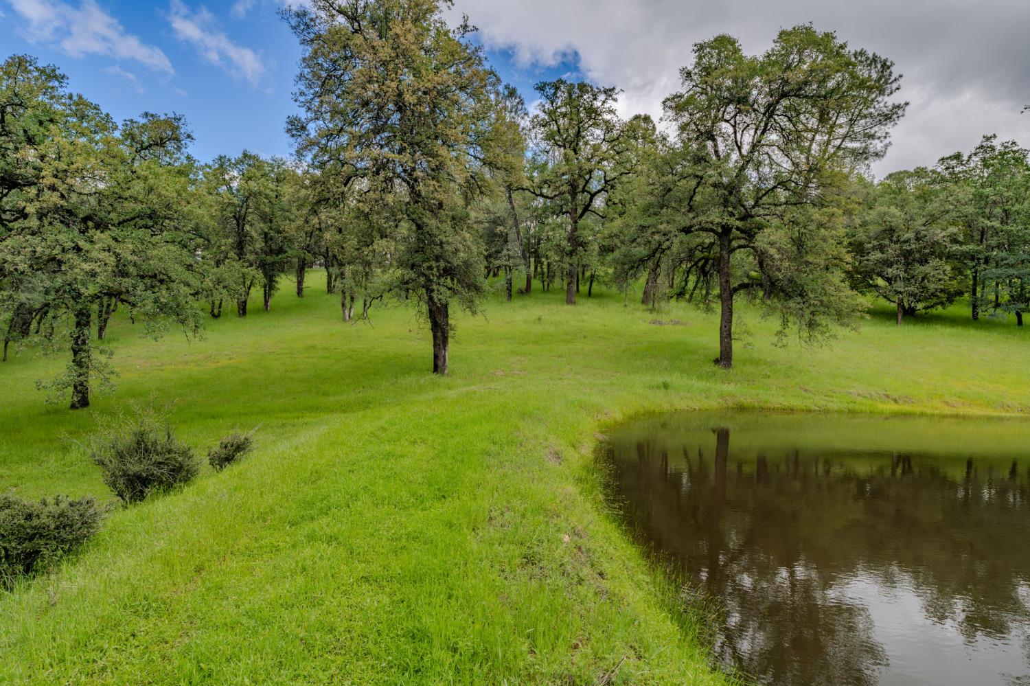 19351 Fiddletown Road Fiddletown, CA 95629 - Photo 6 of 51 Second pond
