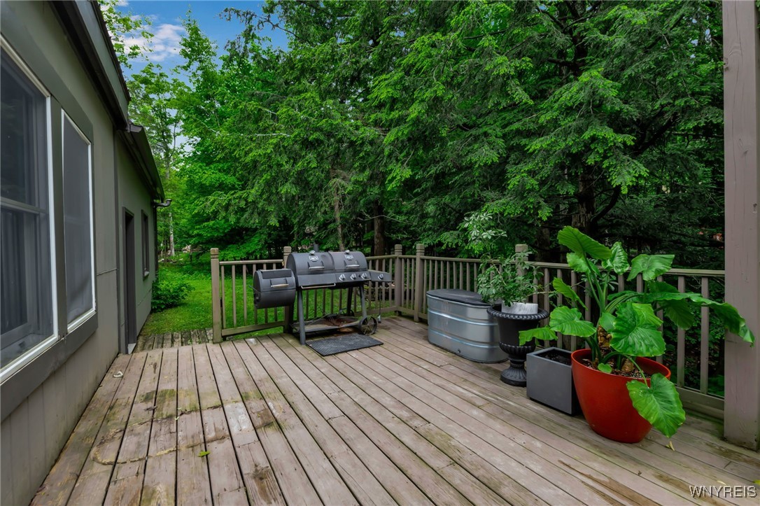 28 Woodstock Road Concord, NY 14069 - Photo 36 of 49