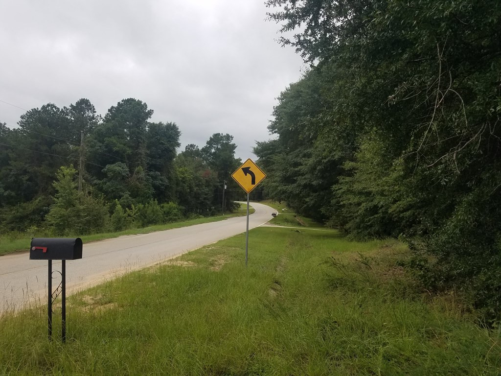 4731 McCombs Road Hephzibah, GA 30815 - Photo 3 of 4