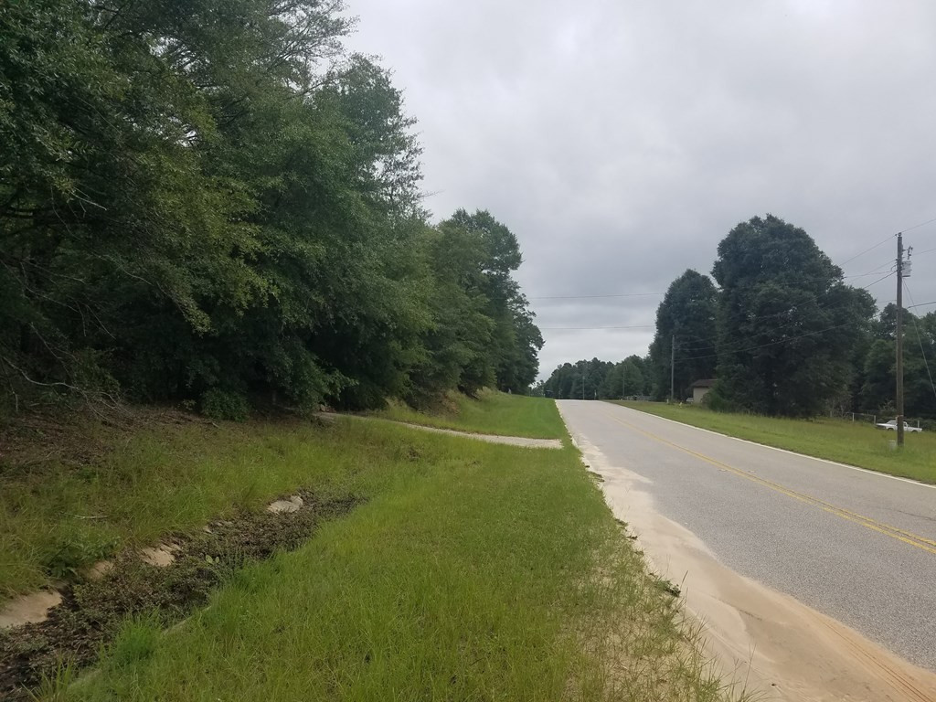 4731 McCombs Road Hephzibah, GA 30815 - Photo 4 of 4