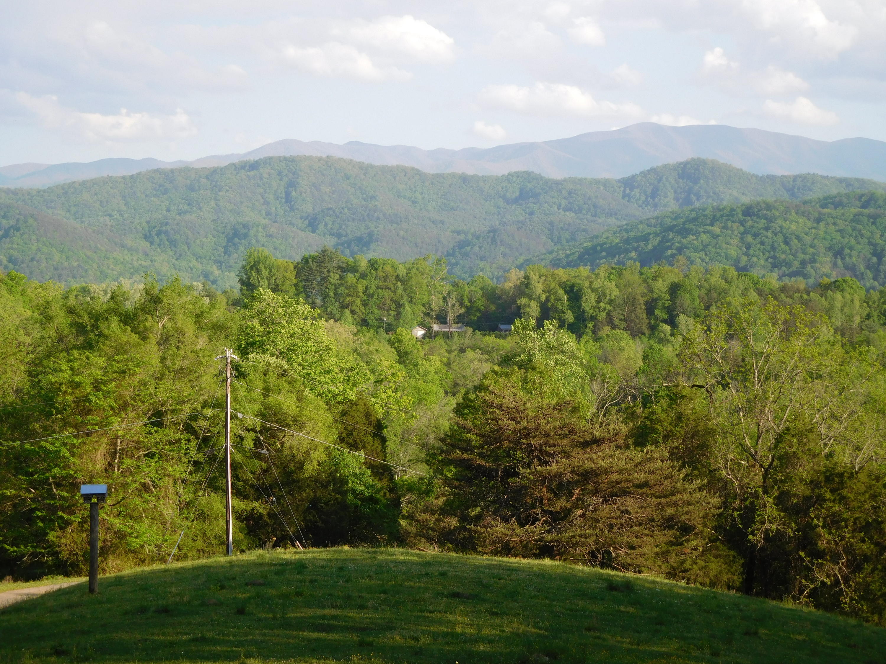 155 Tommy Pack Road Townsend, TN 37882 - Photo 2 of 36 Front porch view