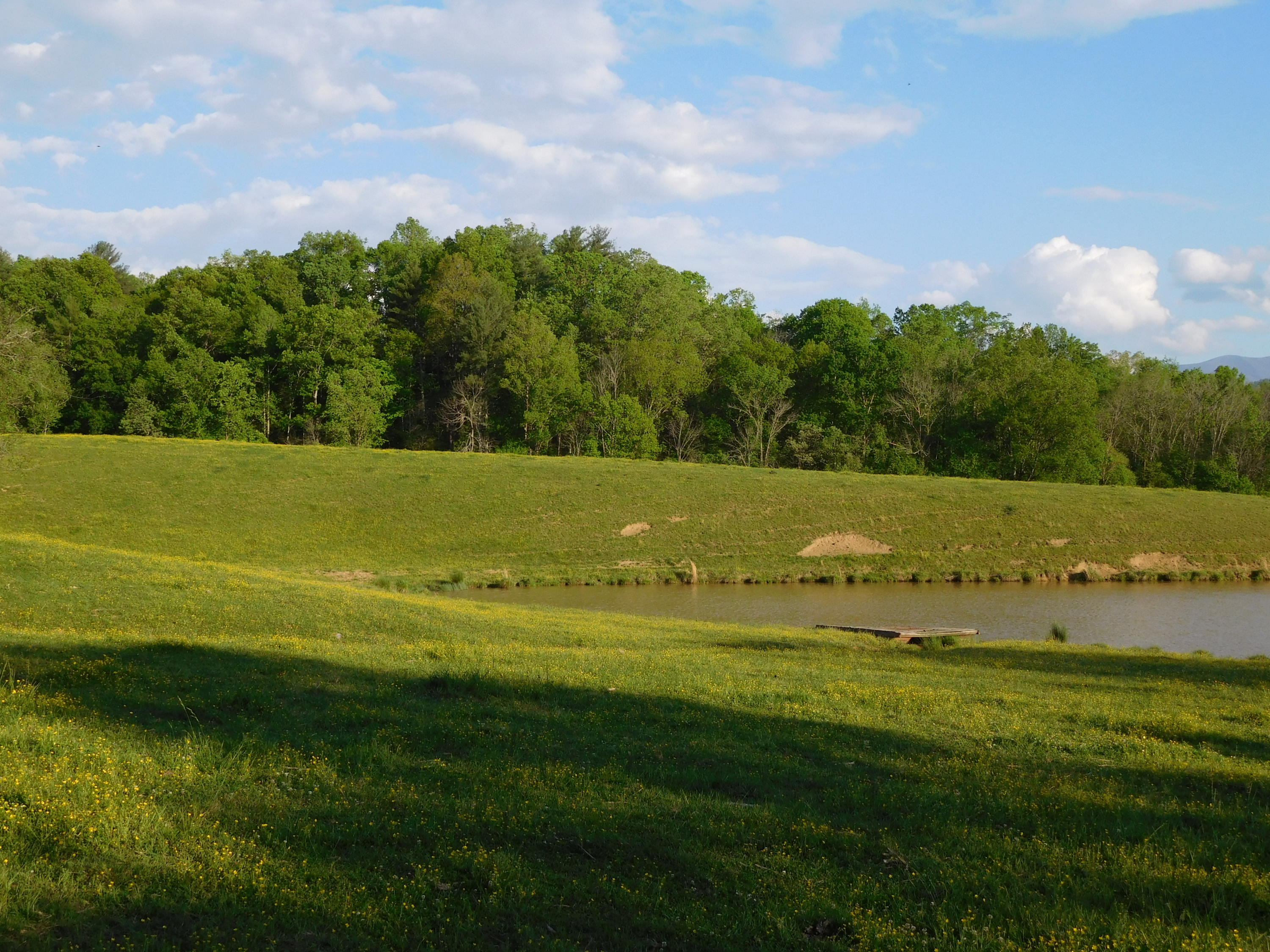 155 Tommy Pack Road Townsend, TN 37882 - Photo 30 of 36 Pasture