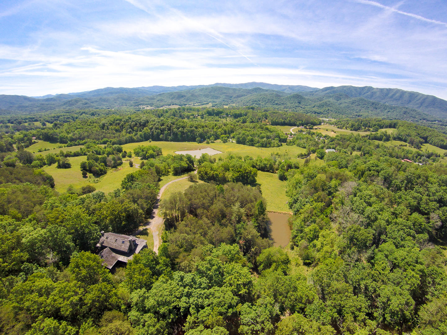 155 Tommy Pack Road Townsend, TN 37882 - Photo 4 of 36 Home sits at the edge of the woods