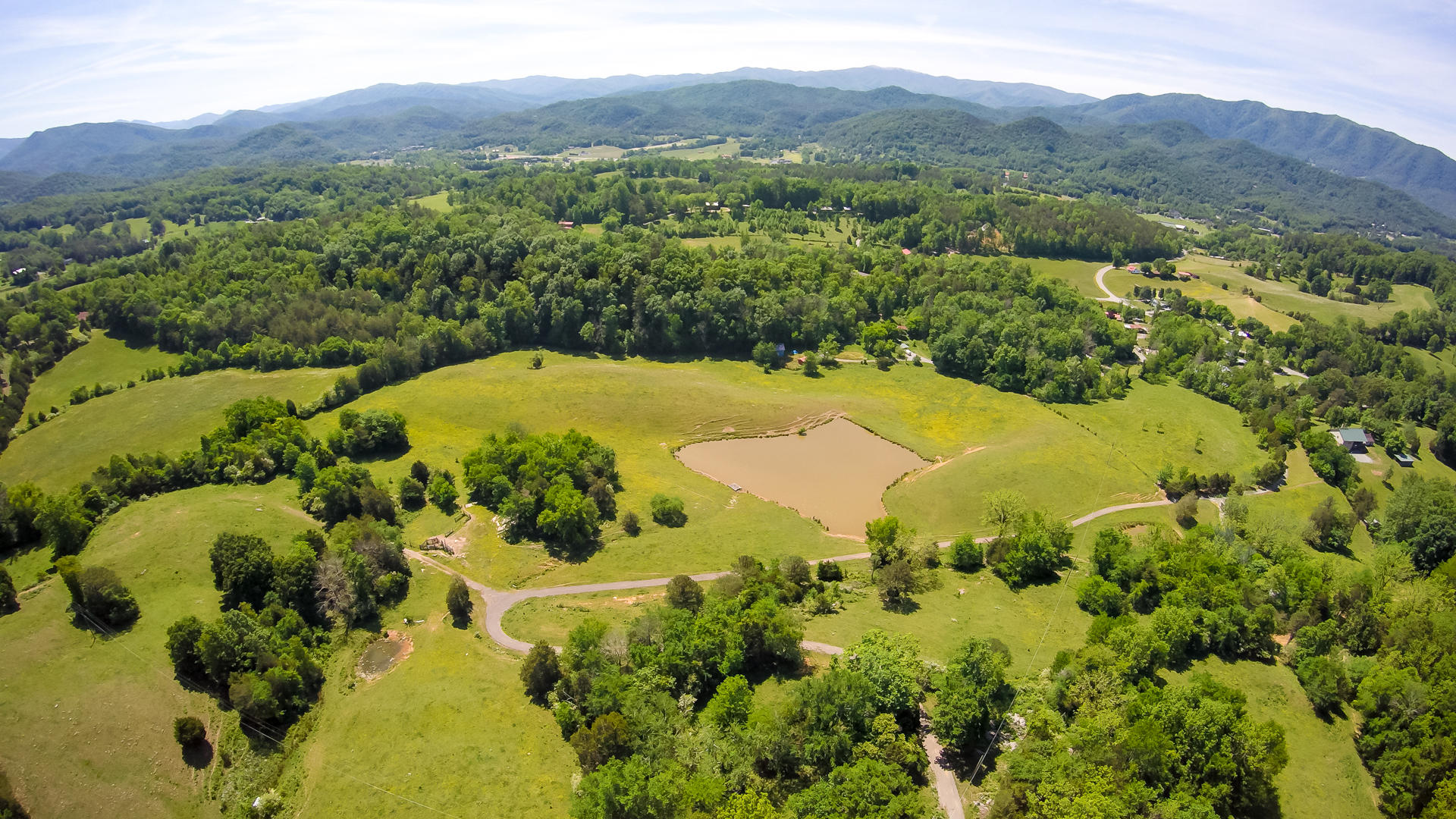 155 Tommy Pack Road Townsend, TN 37882 - Photo 35 of 36 Good pasture!