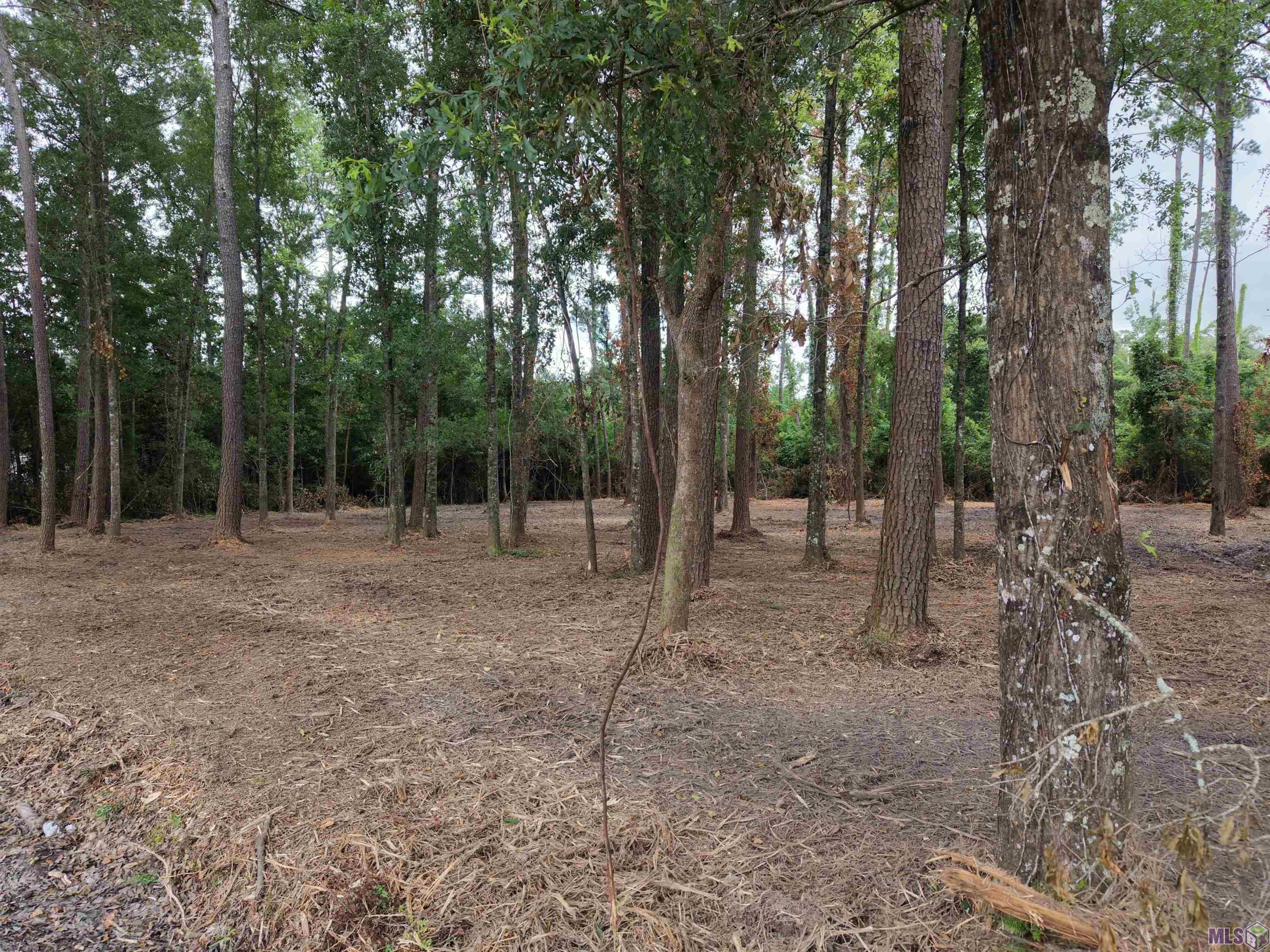 Tract C Esterbrook Road Ponchatoula, LA 70454 - Photo 13 of 13