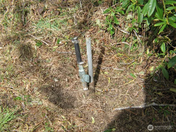 a backyard of a house with a yard and greenery