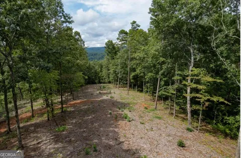 $85,000 | Lot 315 Pebble Trace, Unit 315, Talking Rock, GA 30175