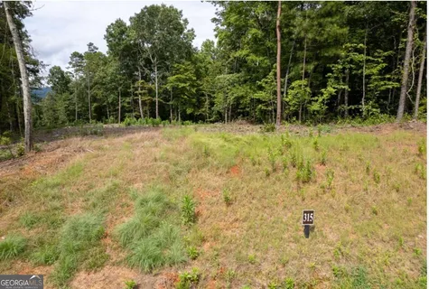 $85,000 | Lot 315 Pebble Trace, Unit 315, Talking Rock, GA 30175