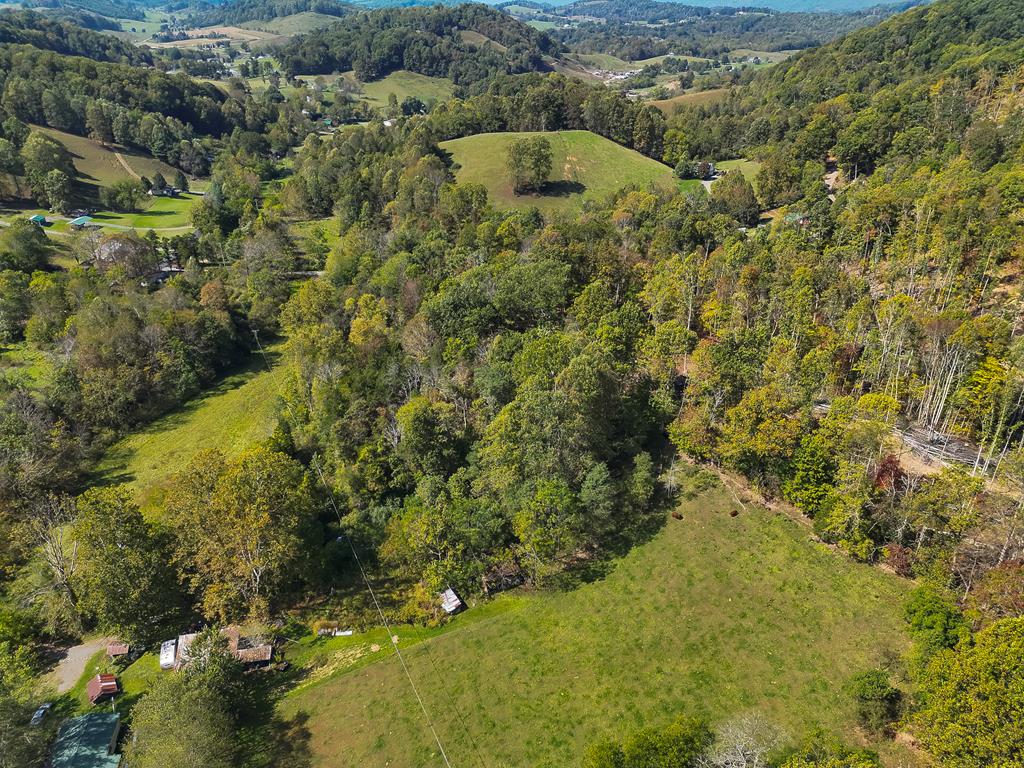29041 Smyth Chapel Road Meadowview, VA 24361 - Photo 8 of 16 Gallery Image 8