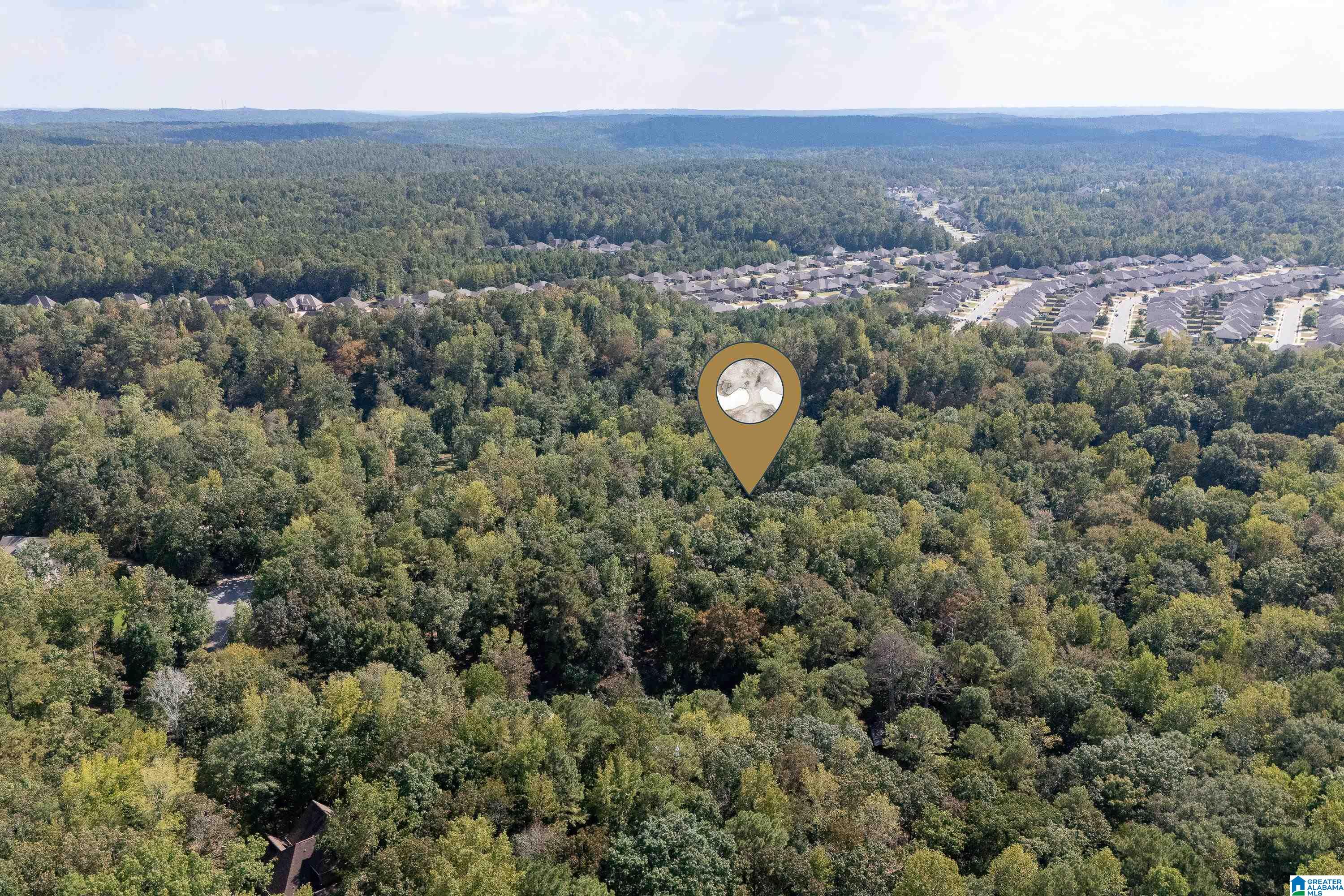 108 Oak View Lane Helena, AL 35080 - Photo 60 of 65