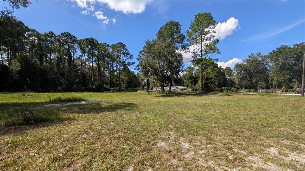 Undisclosed Address Georgetown, FL 32139 - Photo 22 of 30