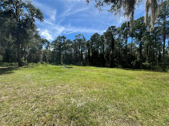 $135,000 | 123 Linderwood Drive, Georgetown, FL 32139