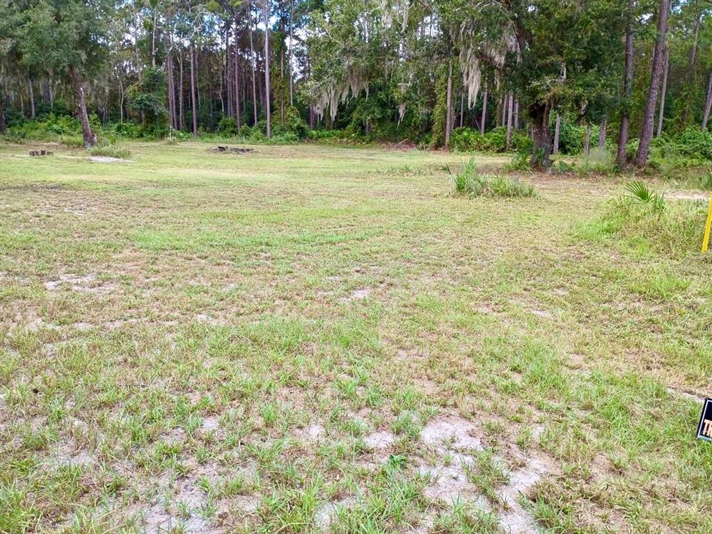 Undisclosed Address Georgetown, FL 32139 - Photo 24 of 30