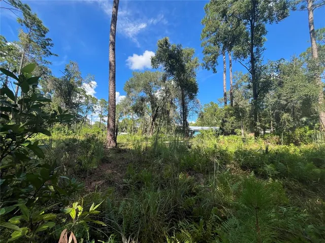 $135,000 | 123 Linderwood Drive, Georgetown, FL 32139