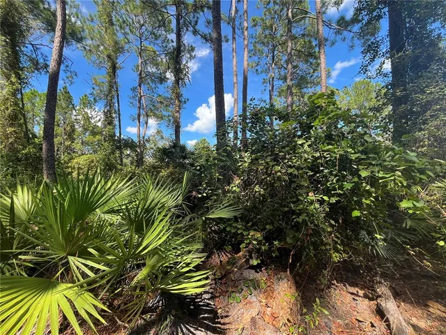 $135,000 | 123 Linderwood Drive, Georgetown, FL 32139