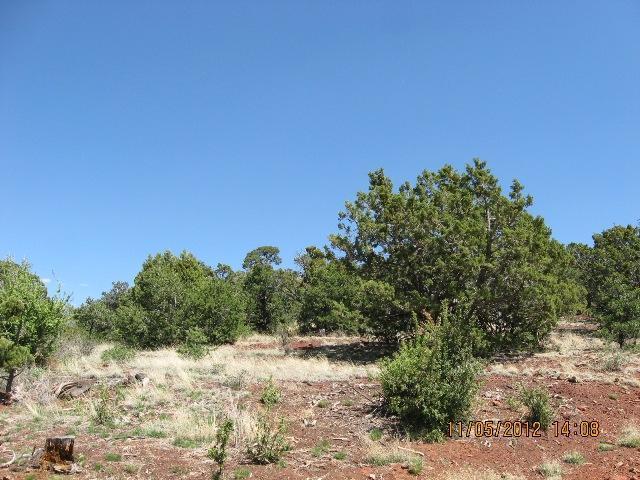 820 Flushing Quail Road Williams, AZ 86046 - Photo 1 of 2 Primary Photo