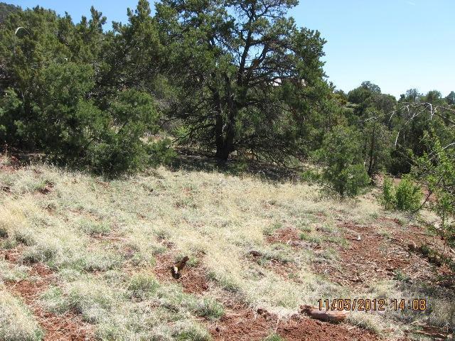 820 Flushing Quail Road Williams, AZ 86046 - Photo 2 of 2 Additional Photo