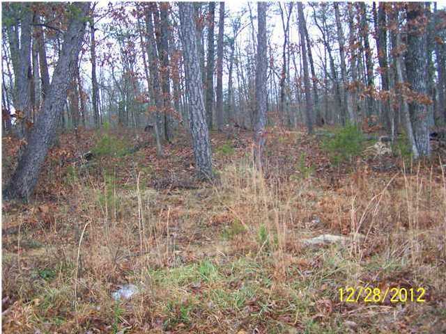 24 Cherokee Ridge Pikeville, TN 37367 - Photo 1 of 3 Primary Photo