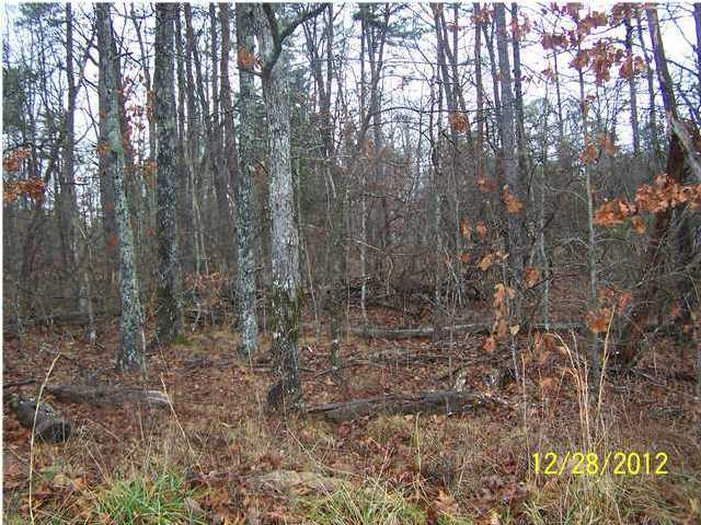 24 Cherokee Ridge Pikeville, TN 37367 - Photo 2 of 3 Additional Photo