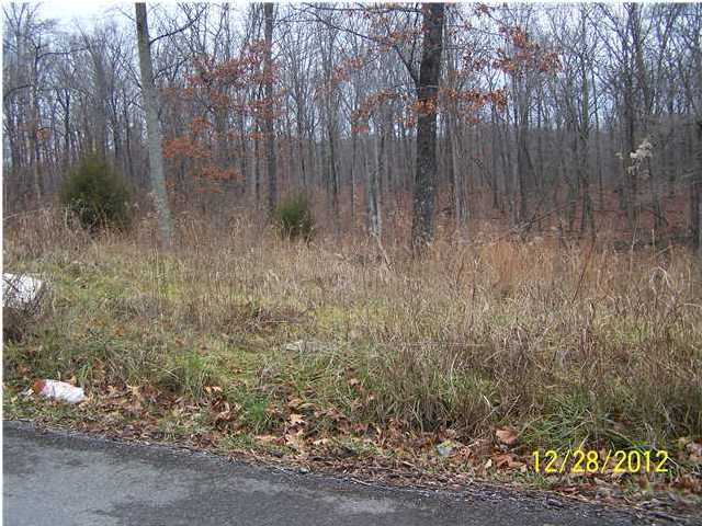 24 Cherokee Ridge Pikeville, TN 37367 - Photo 3 of 3 Additional Photo