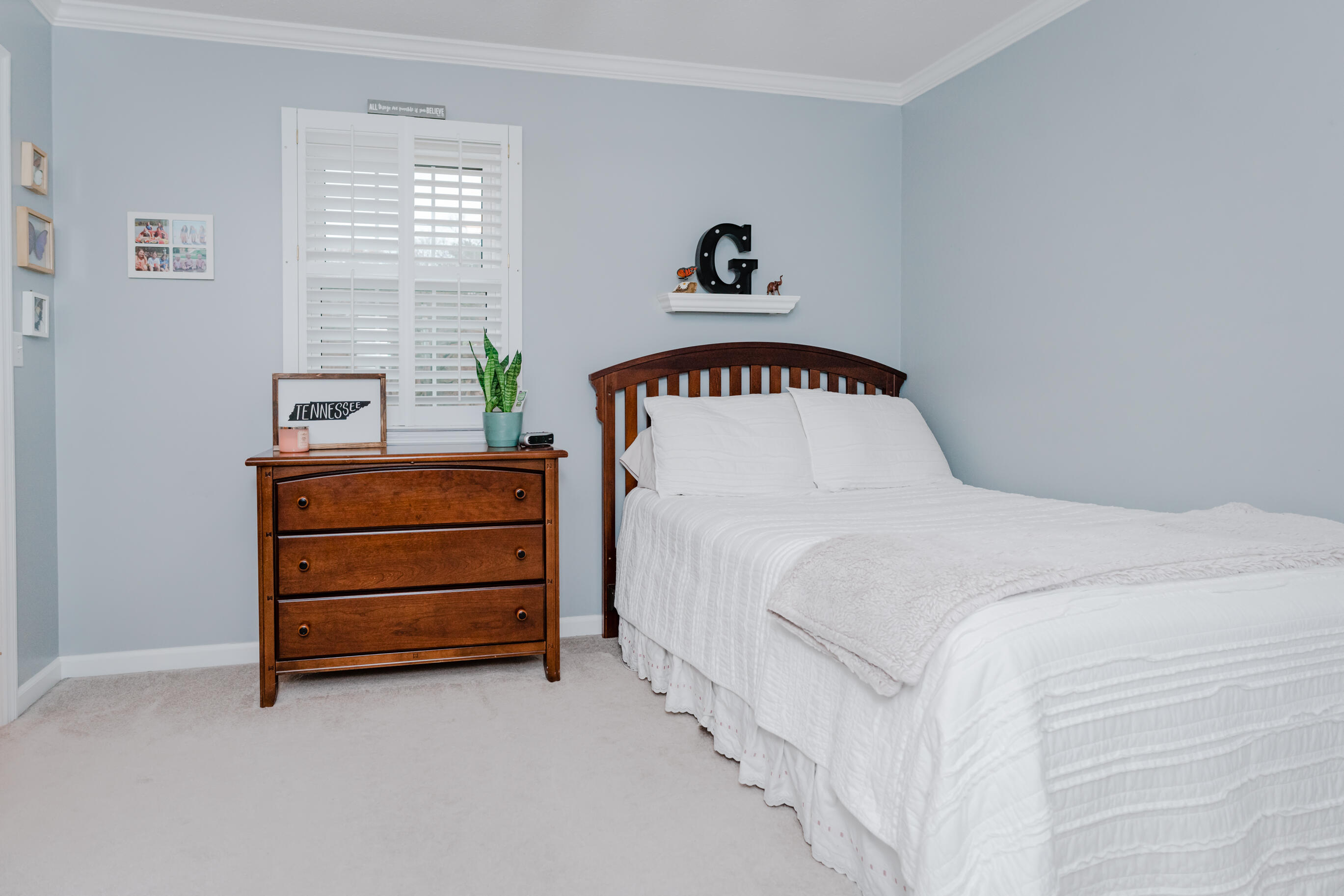 9430 Shadow Point Circle Chattanooga, TN 37421 - Photo 24 of 48 _DSC0411-Edit