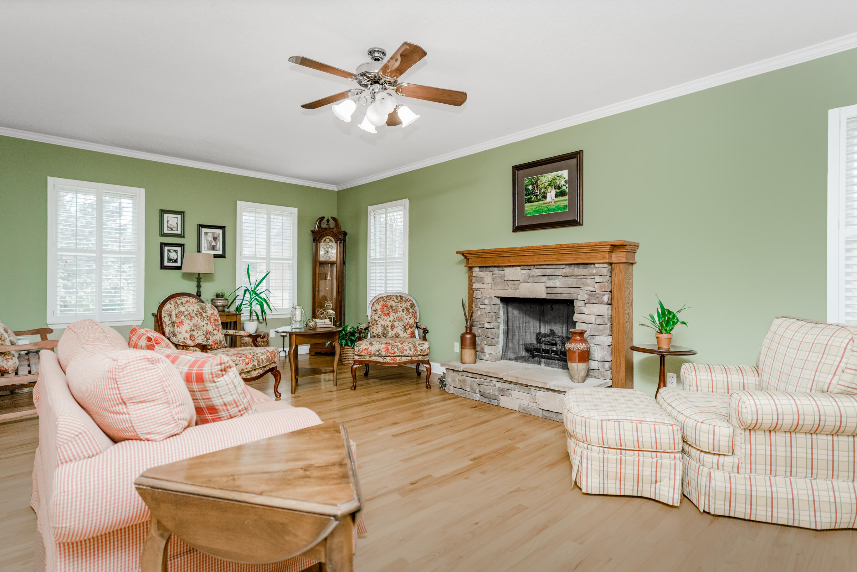 9430 Shadow Point Circle Chattanooga, TN 37421 - Photo 4 of 48 Living room with Stone Fireplace