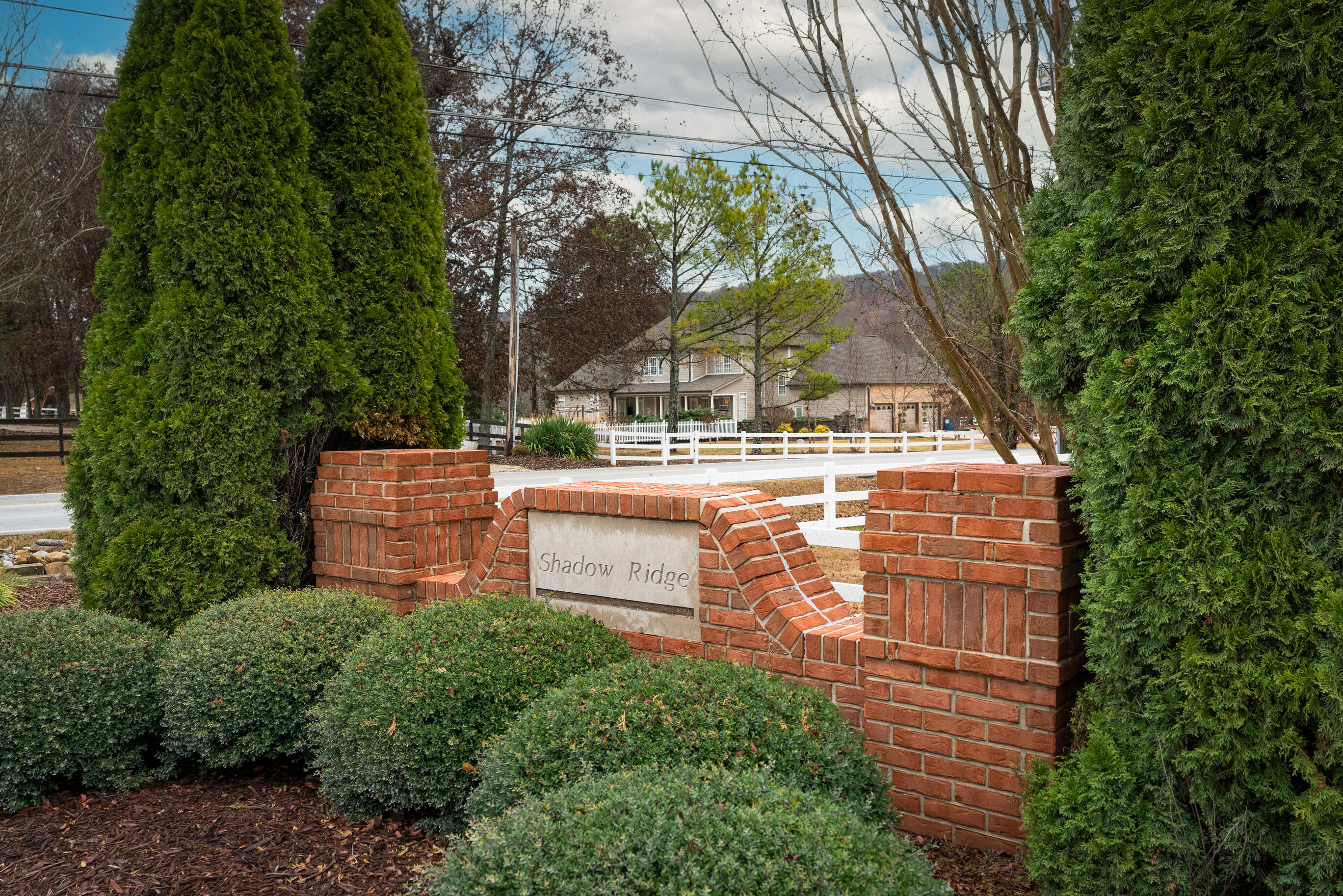 9430 Shadow Point Circle Chattanooga, TN 37421 - Photo 48 of 48 _DSC0617-Edit
